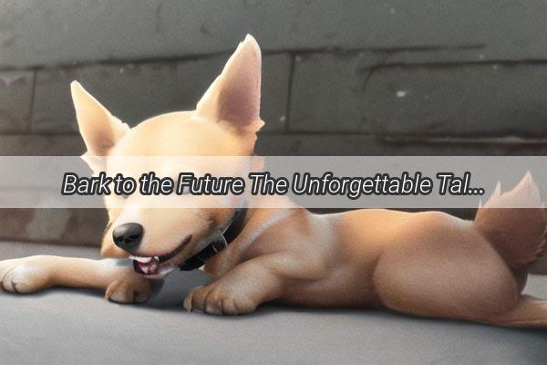 Bark to the Future The Unforgettable Tale of Whats the Dogs Exam Song Called Again